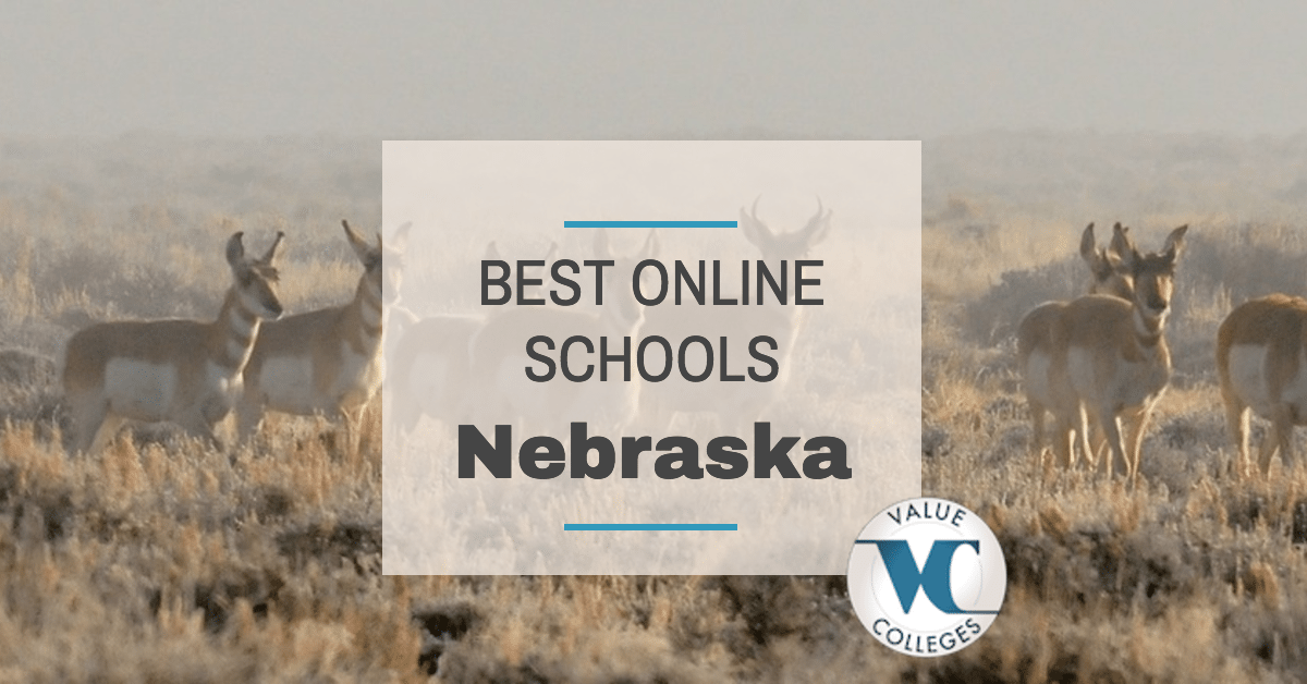 Top 10 Best Online Colleges in Nebraska Value Colleges